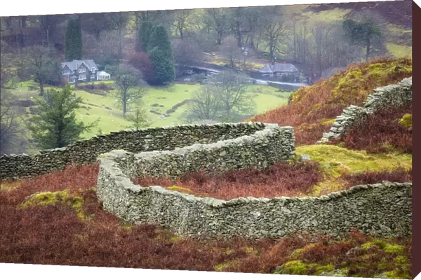 Curving dry stone wall on Loughrigg Fell near Ambleside, Lake District National Park