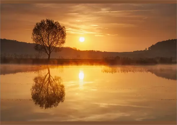 Morning mist over pond, Ilm district, Thuringia, Germany