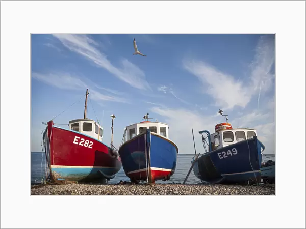 Boats on the beach. Beer, Devon. England. United Kingdom
