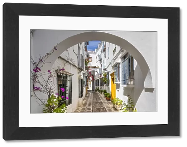 Picturesque cobbled alley with whitewashed houses and flowers, Cordoba, Andalusia, Spain