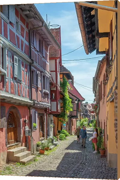 Alley at Eguisheim, Haut-Rhin, Alsace, Alsace-Champagne-Ardenne-Lorraine, Grand Est, France