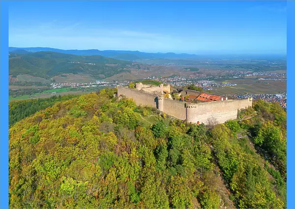Aerial view at the castle Hohlandsberg near Colmar, Haut-Rhin, Alsace, Alsace-Champagne-Ardenne-Lorraine, Grand Est, France