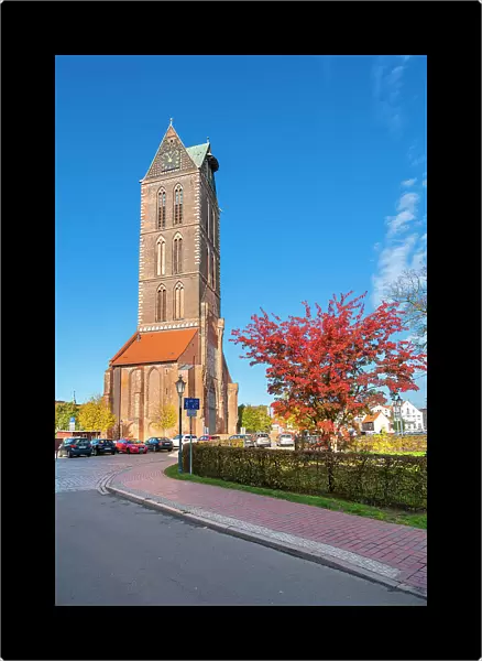 Colorful tree and St. Marienkirche, Wismar, UNESCO, Nordwestmecklenburg, Mecklenburg-Western Pomerania, Germany
