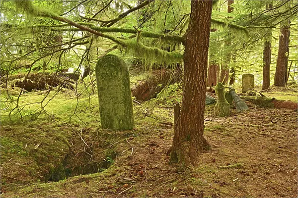 Pre 1900 burials at Mathers Creek on Louise Island, Haida Gwaii. thought to be of persons who had lived in the village of Clue. After this era the Clue inhabitants relocated to Skidegate, British Columbia