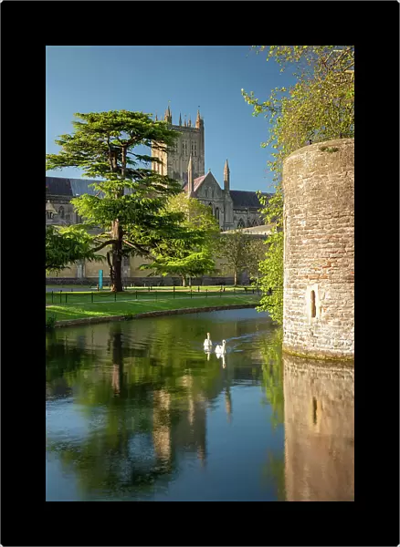 Wells Cathedral reflected in the Bishop's Palace moat, Wells, Somerset, England. Spring (May) 2019