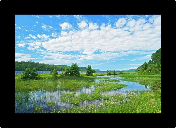 Clouds and wetland at Lake Nipigon in the boreal forest Near Macdiarmid, Ontario, Canada