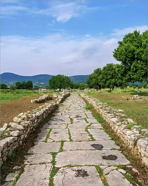 Sacred Way, Heraion of Samos, Ireo, Samos Island, North Aegean, Greece
