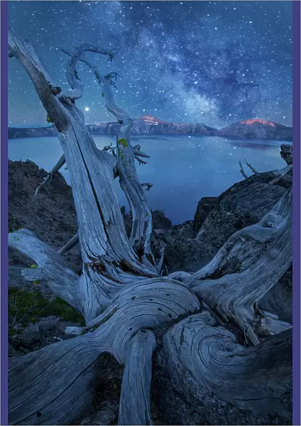 USA, Oregon, Crater Lake National Park, Milky Way and tree snag (m)