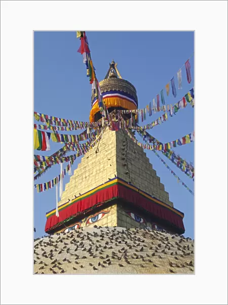 Nepal. Kathmandu, Boudinath Stupa one of the holiest Buddhist sites in Kathmandu