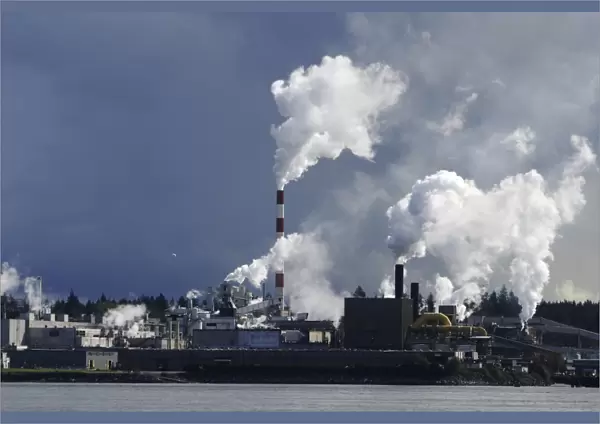 Paper pulp mill spewing smoke from processing plant on the Campbell River on Vancouver Island, British Columbia, Canada