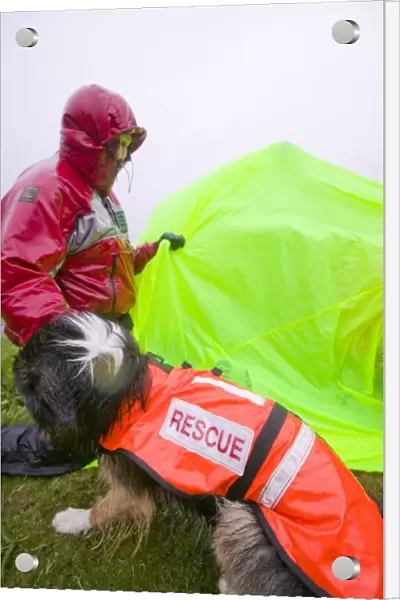 Search Dog handler as a Member of Langdale Ambleside Mountain Rescue Team on a rescue on a very wet day