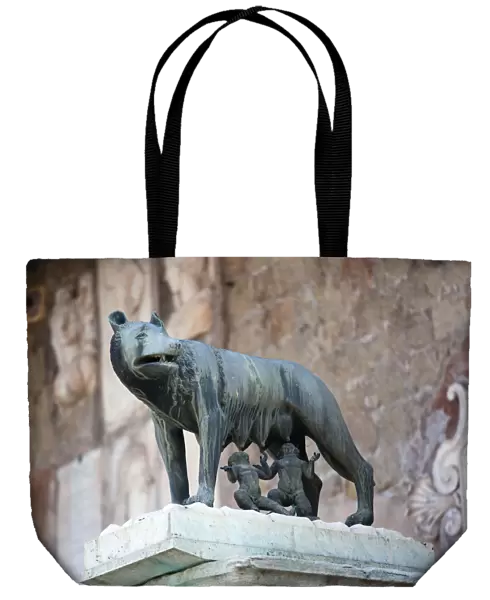 20092186. ITALY Rome Lazio Bronze statue of Romulus and Remus feeding