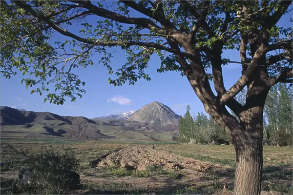 10127883. IRAN Azarbayjan e Ghabi Landscape seen through tree with mountain on the horizon