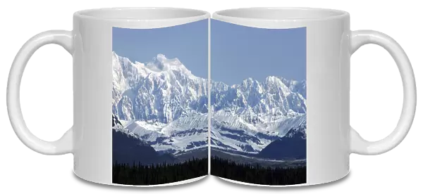 20064524. USA Alaska Snow covered mountain range seen over green treetops