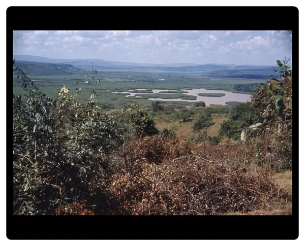 20074855. RWANDA Landscape Swamp landscape 100km east of Kigali