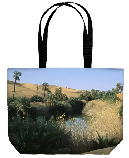 20076974. LIBYA Um el Maa Oasis Oasis pool and lush vegetation with sand dunes beyond