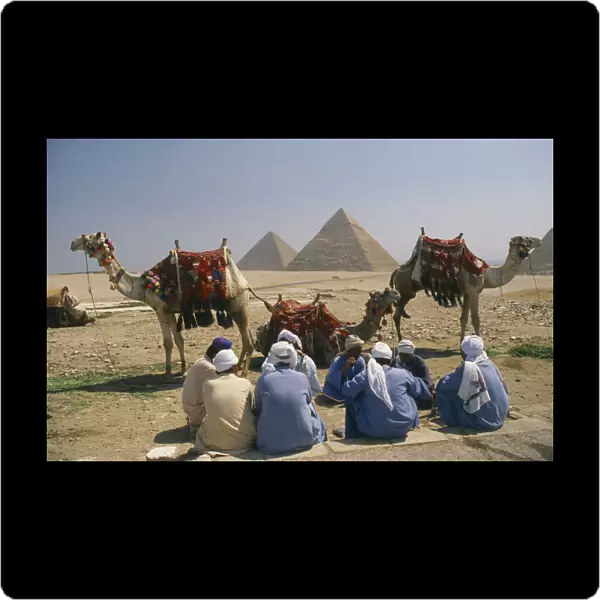 20036074. EGYPT Cairo Area Giza Group of men with camels and the Pyramids behind