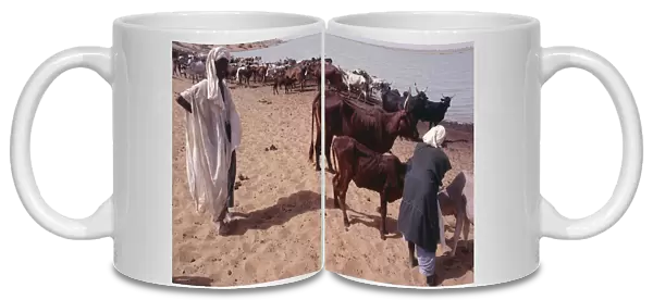 20056546. NIGER General Men standing with their herd of cattle next to water