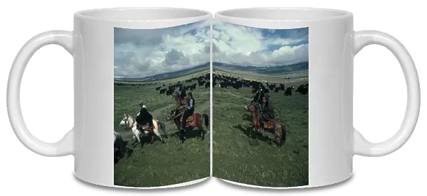20076321. TIBET People Nomadic herders on horseback with yak