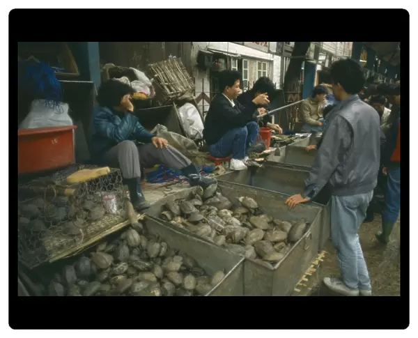 10063530. CHINA Qingping Buying Turtles