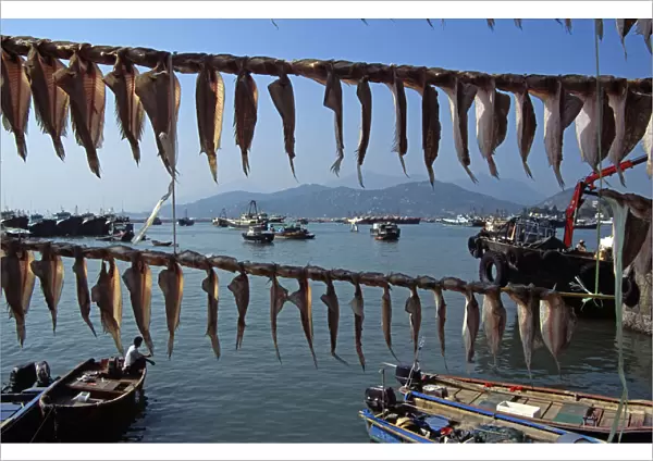 20085851. CHINA Hong Kong Cheung Chau Island Fish drying in front of harbour