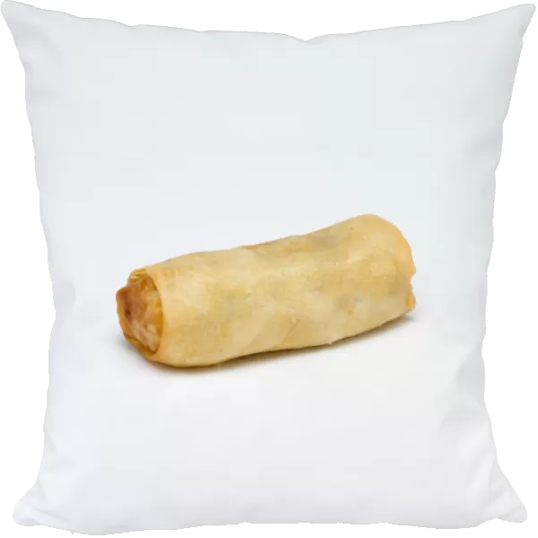 Food, Cooked, Vegetables, Single fried vegetable spring roll on a white background