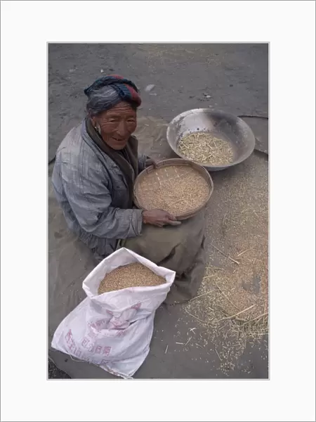 10003384. CHINA Tibet Tandruk Elderly woman winnowing rice into a sack