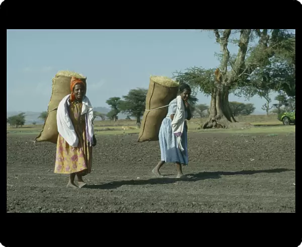 20070876. ETHIOPIA Work Two women carrying sacks of hay on their backs