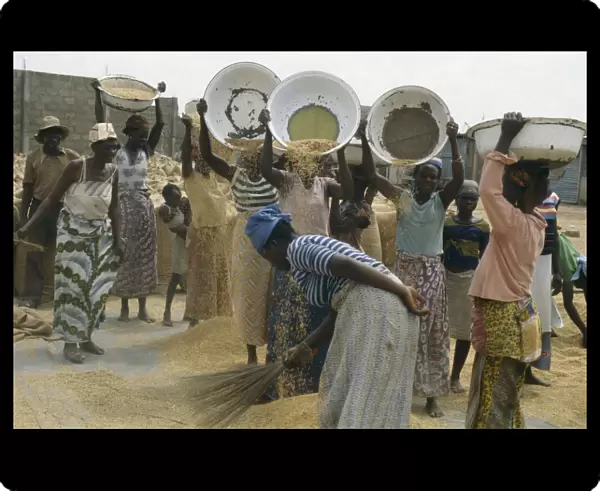 20076623. GHANA Work Women winnowing rice. Farming
