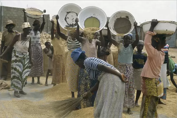 20076623. GHANA Work Women winnowing rice. Farming