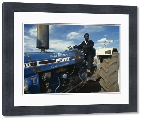 20076264. MALAWI Farming Tractor driver working in tobacco plantation