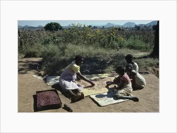 20076312. MALAWI Dedza District Refugees Woman