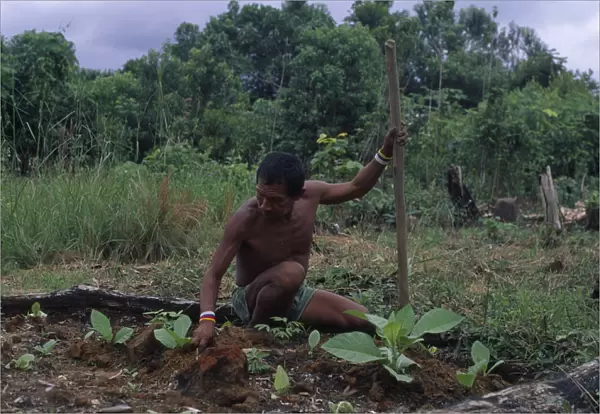 20087048. COLOMBIA North West Amazon Tukano Indigenous People Makuna head man