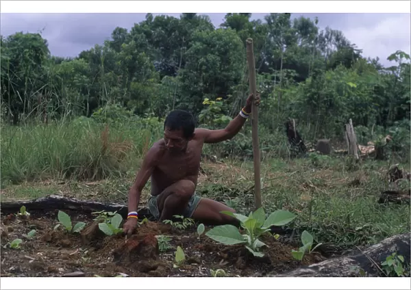 20087048. COLOMBIA North West Amazon Tukano Indigenous People Makuna head man