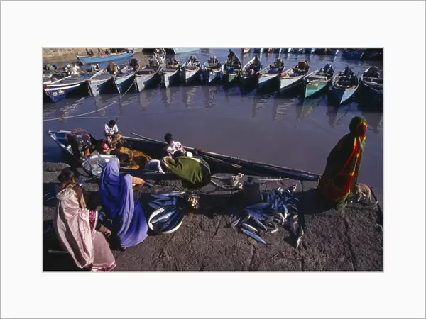 10128571. INDIA Gujarat Veraval Fishing harbour
