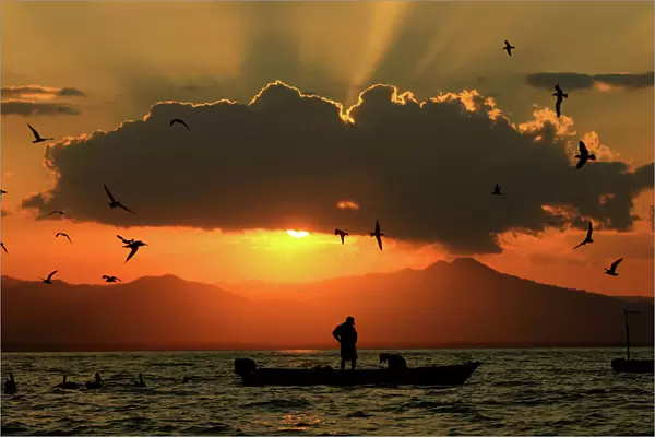Costa Rica fishermen return with their catch as seagulls fly around their boat during