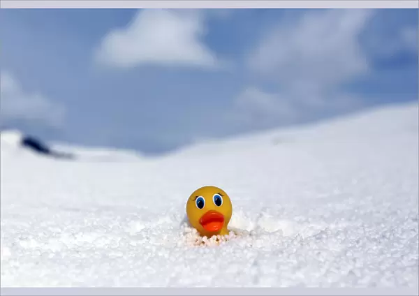 A childs toy duck is partially buried by hailstones following an ice storm in Derry