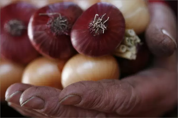 A vendor holds a string of onions at his stall at the annual Zibelemaerit onion