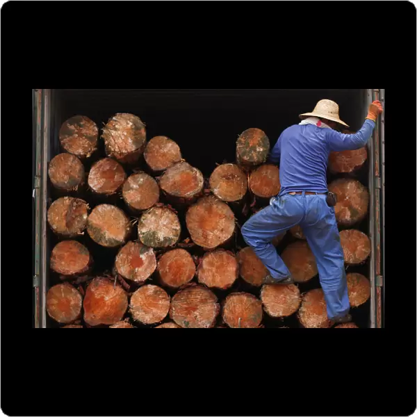 A worker climbs into a truck delivering timber at a woodyard in Tianjin