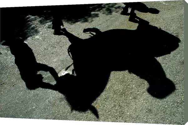 Shadow of a rider on his horse is reflected on a street during Saint John festival in Ciutadella