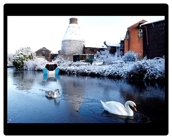 A swan breaks a path through the ice on the Trent and Mersey Canal in Middleport