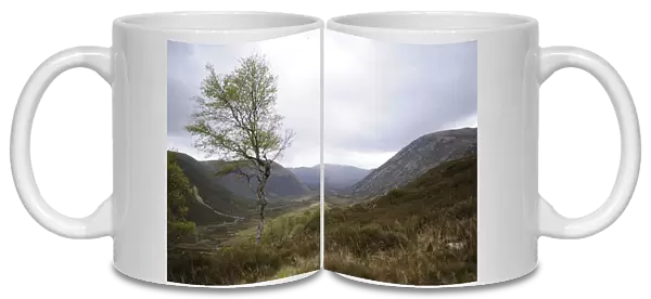 A general view near Sutherland, Scottish Highlands, Scotland