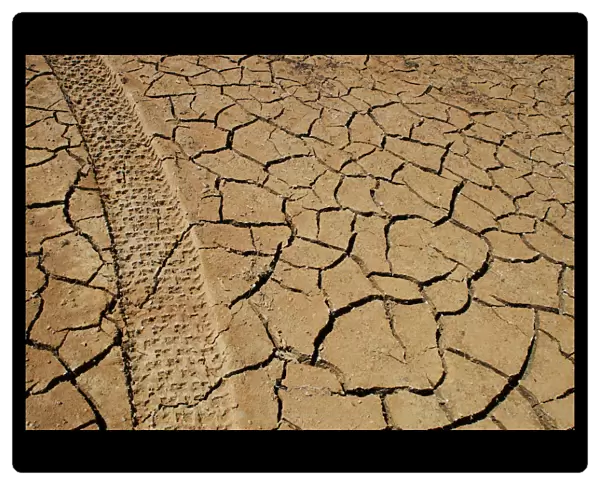 Tracks left by a vehicle remain on the cracked earth of the drought-stricken Entrepenas