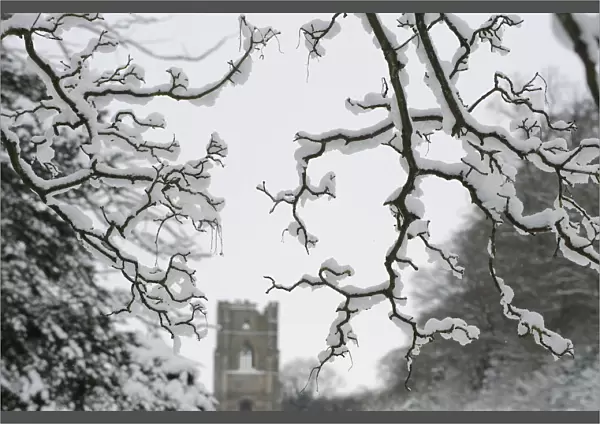 Snow hangs on trees in front of Fountains Abbey in Ripon