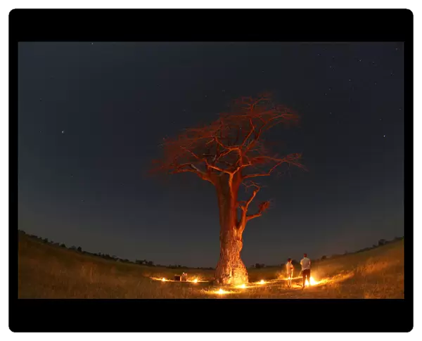 Guests stand beneath a Baobab tree illuminated by fire in the Okavango Delta