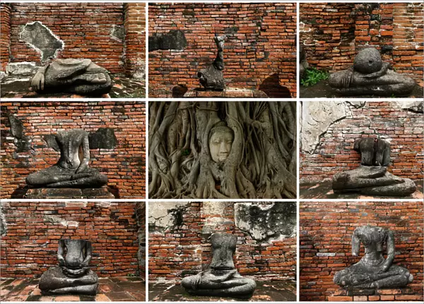 A combination picture shows a Buddha head entwined within the roots of a tree (C