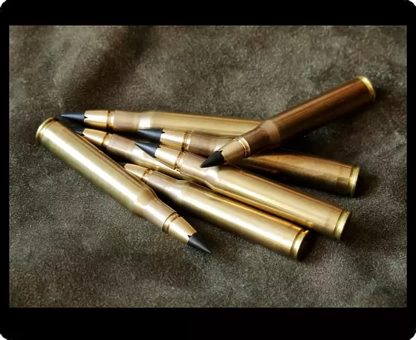Lutz Moeller. 30-06 hunting cartridges with MJG lead free bullets are seen in Vienna