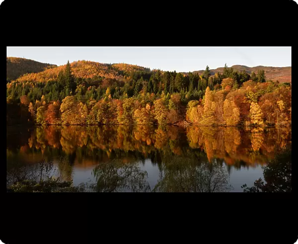 Autumnal leaves are reflected in Loch Faskally, near Pitlochry, Scotland