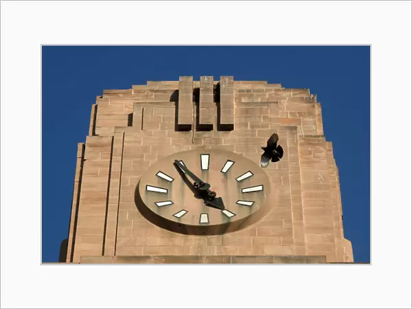 A pigeon flies past a stopped clock on the Lakshmi Building in Karachi