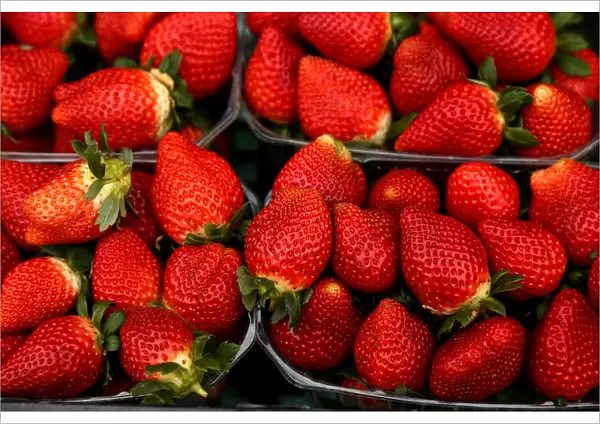 Strawberries are displayed on a vendors stand at the Farmers Market in Ta Qali